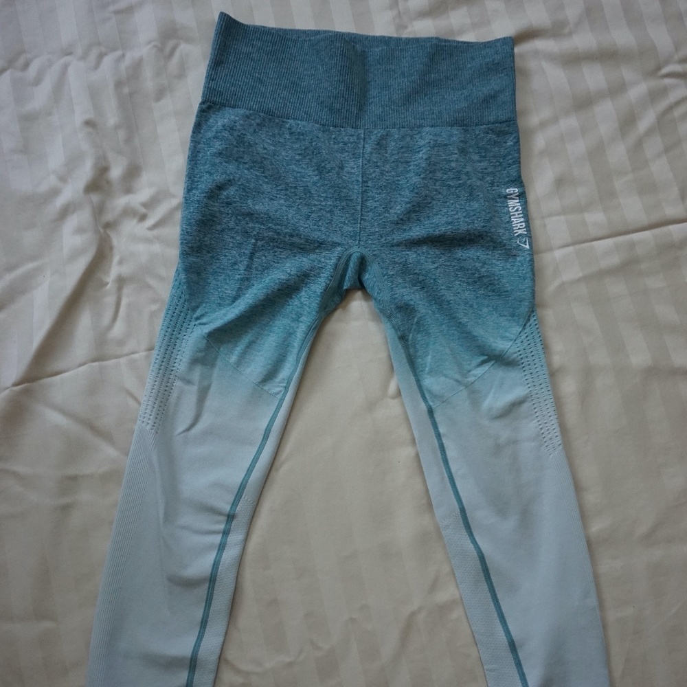 Gymshark ombre seamless leggings